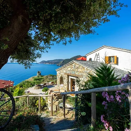 De Charme Avec Piscine Privative * Pino