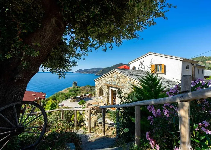 De Charme Avec Piscine Privative * Pino