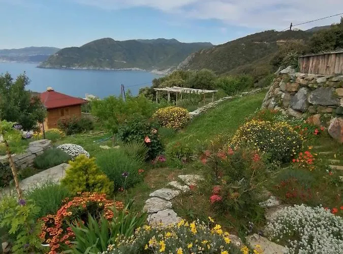 De Charme Avec Piscine Privative